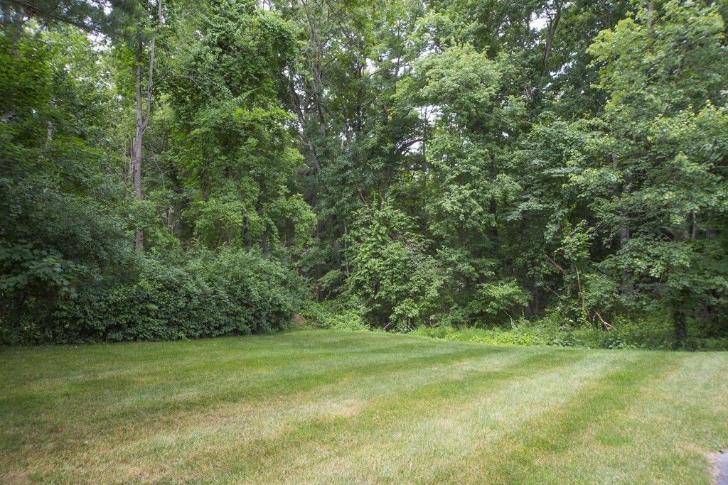 23 Old Farm Road Sharon, MA 02067 - Photo 3 of 28 Gallery Image 3