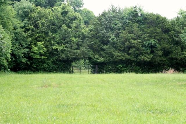 5367 Wayside Road Christiana, TN 37037 - Photo 12 of 19 Entrance to Building Site/Pasture 3