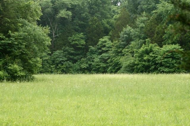 5367 Wayside Road Christiana, TN 37037 - Photo 13 of 19 Building Site/Pasture 3