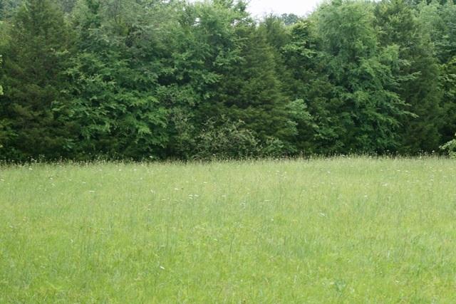 5367 Wayside Road Christiana, TN 37037 - Photo 14 of 19 Building Site/Pasture 3