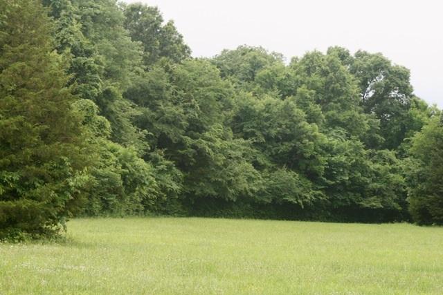 5367 Wayside Road Christiana, TN 37037 - Photo 16 of 19 Building Site/Pasture 2