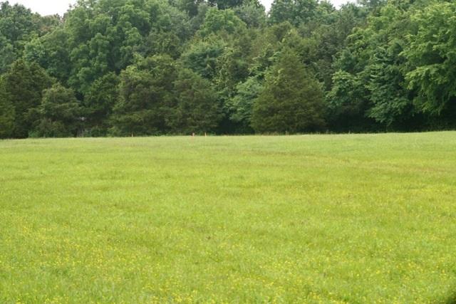 5367 Wayside Road Christiana, TN 37037 - Photo 17 of 19 Building Site/Pasture 1