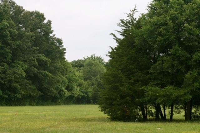 5367 Wayside Road Christiana, TN 37037 - Photo 19 of 19 Building Site/Pasture 1 (view from house listed in MLS 1539322)