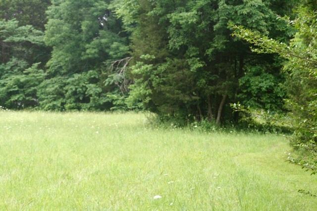 5367 Wayside Road Christiana, TN 37037 - Photo 6 of 19 Building Site/Pasture 3