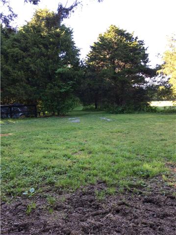 5367 Wayside Road Christiana, TN 37037 - Photo 7 of 19 Three pastures and walking areas mixed with woods