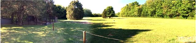 5367 Wayside Road Christiana, TN 37037 - Photo 8 of 19 Panoramic view of one of the three pastures