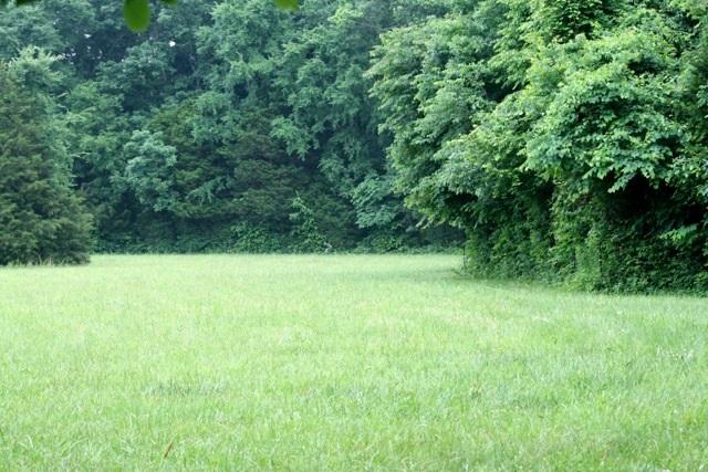 5367 Wayside Road Christiana, TN 37037 - Photo 10 of 19 Building Site/Pasture 2