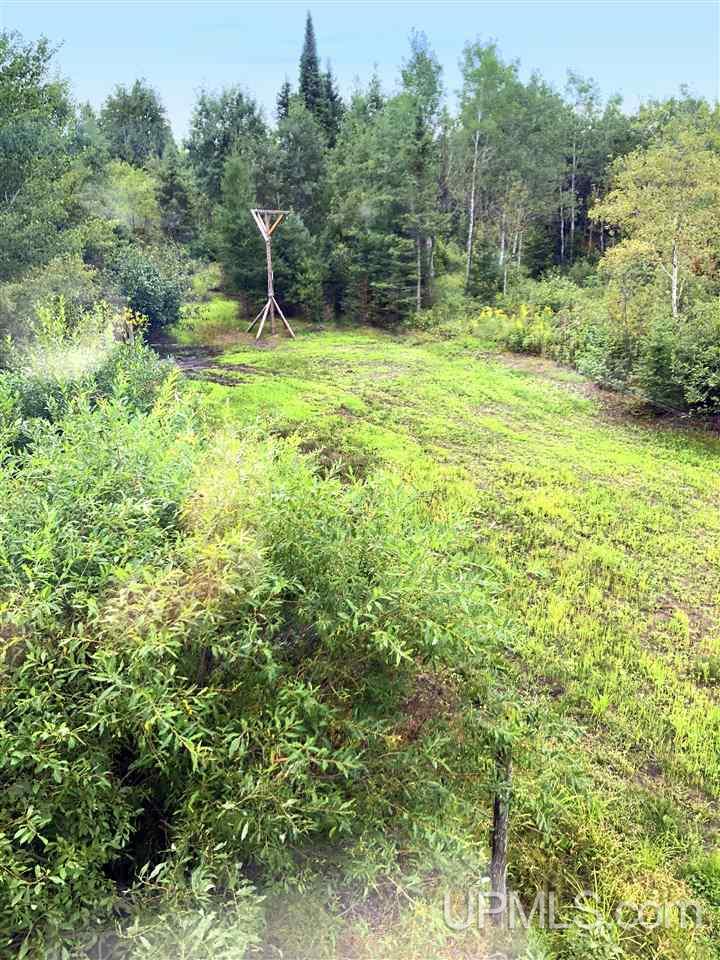 Tbd Perlot Road Felch, MI 49831 - Photo 6 of 45
