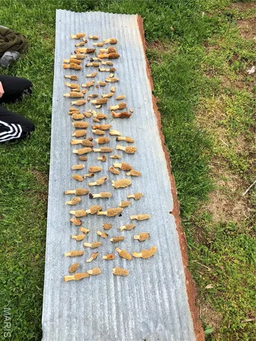 $745,000 | 0 State Route 21, De Soto, MO 63020