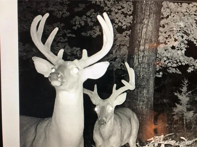 $745,000 | 0 State Route 21, De Soto, MO 63020