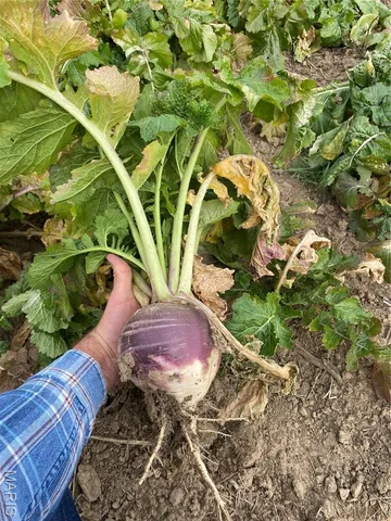 $745,000 | 0 State Route 21, De Soto, MO 63020