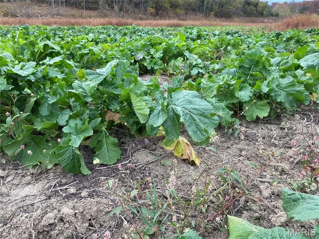 $745,000 | 0 State Route 21, De Soto, MO 63020