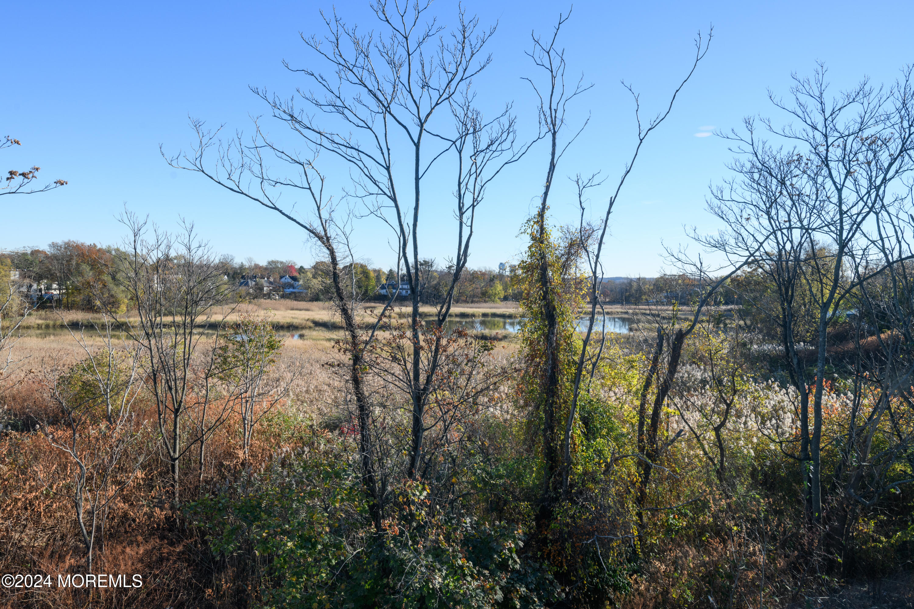 17 Raritan Cove Keyport, NJ 07735 - Photo 26 of 42 a view of lake with large trees