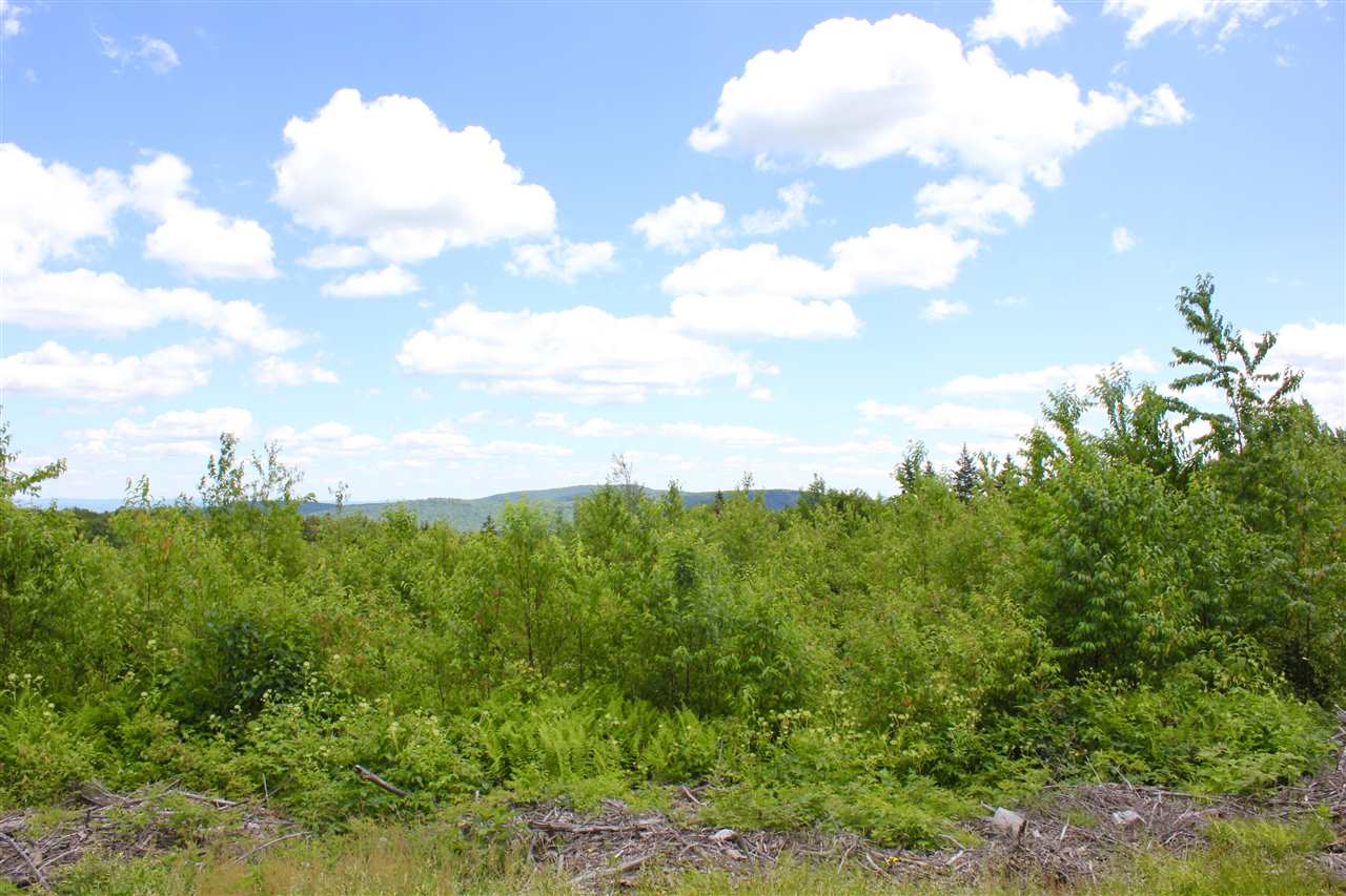 Valley View Drive, Unit 8 Andover, VT 05143 - Photo 5 of 21 Gallery Image 5