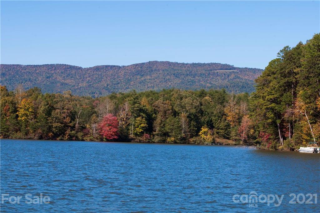 0 Huskey Pointe Mill Spring, NC 28756 - Photo 3 of 7 Gallery Image 3