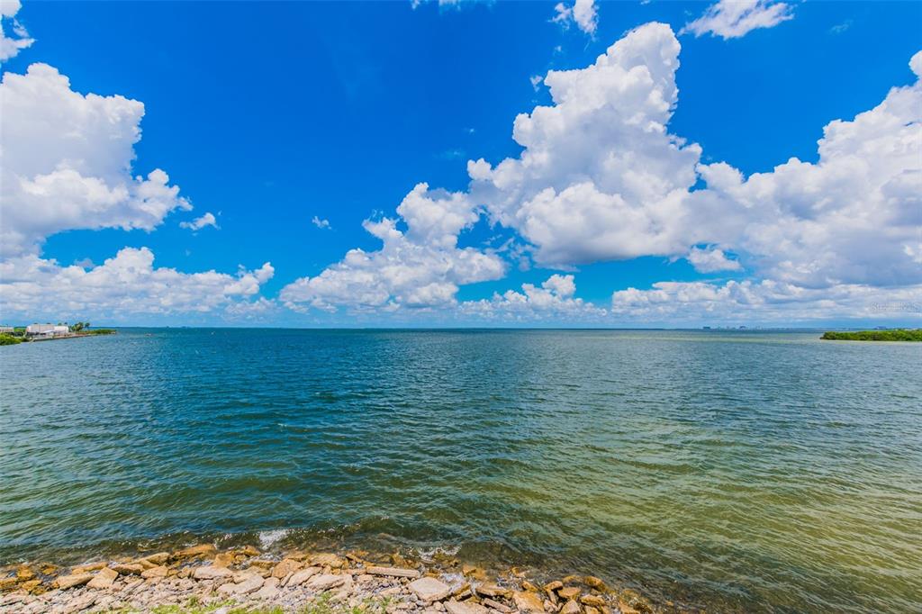 5000 Culbreath Key Way, Unit 1215 Tampa, FL 33611 - Photo 50 of 57 a view of a lake view