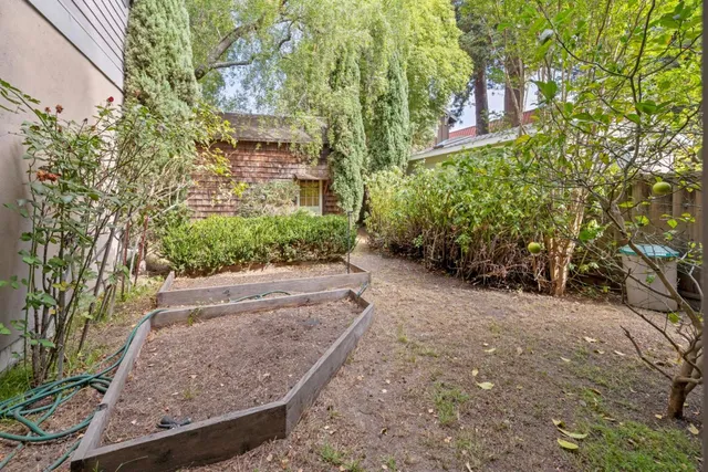 a view of a yard with plants and trees