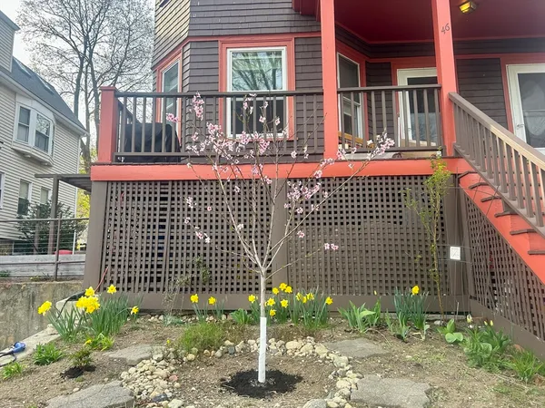 a front view of a house with a garden