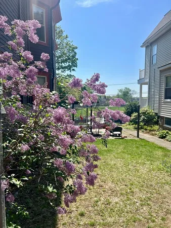 a view of a backyard