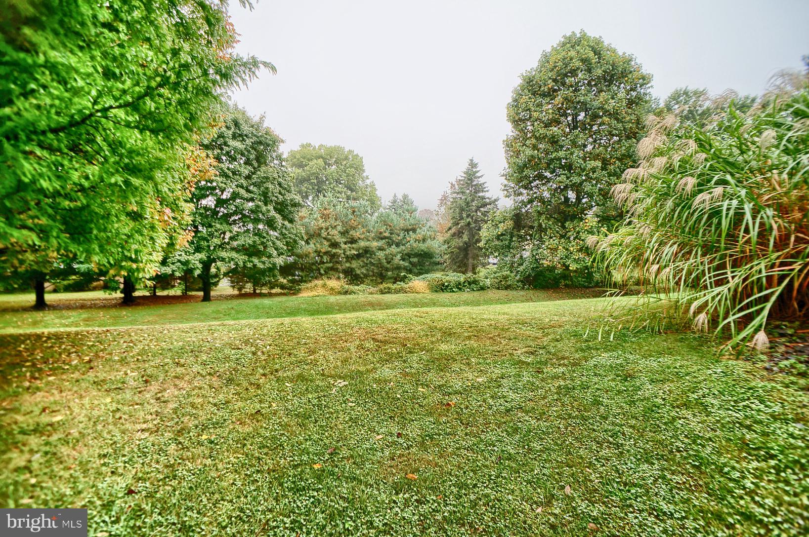 73 Flint Ridge Drive Reading, PA 19607 - Photo 11 of 43 back yard