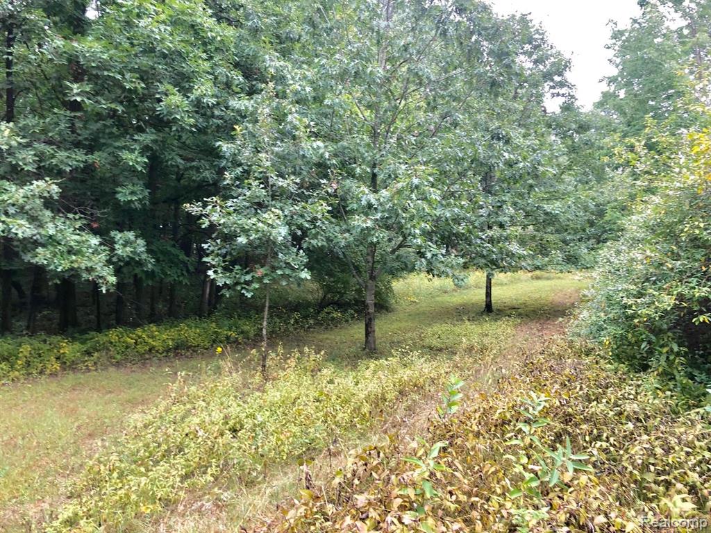 4570 Blood Road Metamora, MI 48455 - Photo 17 of 33 Gallery Image 17