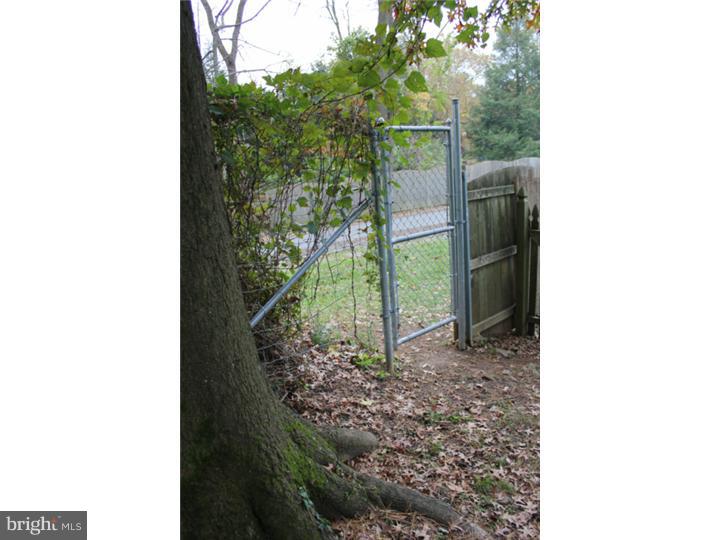 404 Conestoga Road Wayne, PA 19087 - Photo 14 of 19 Back Yard