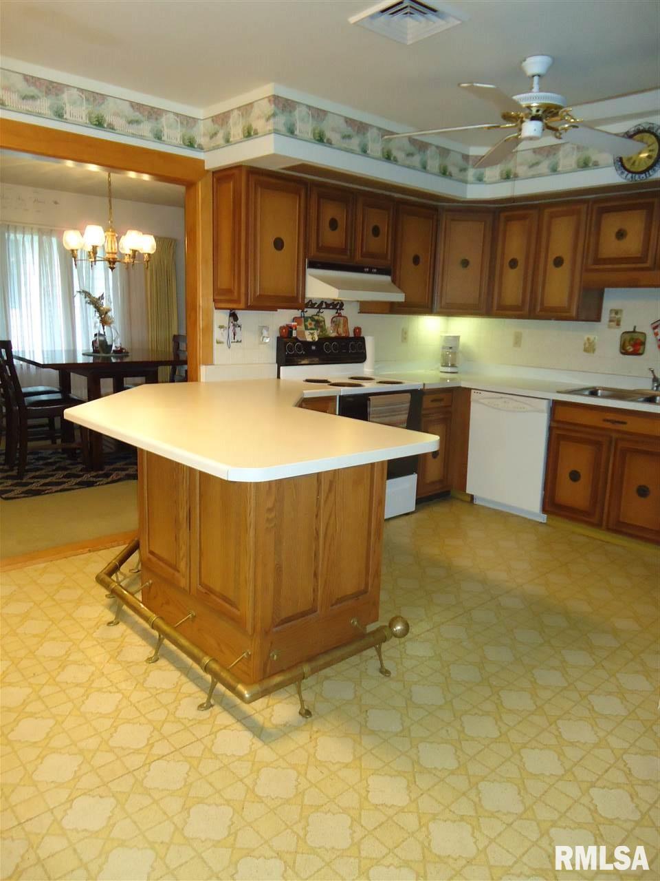 232 East Springfield Street Virginia, IL 62691 - Photo 5 of 32