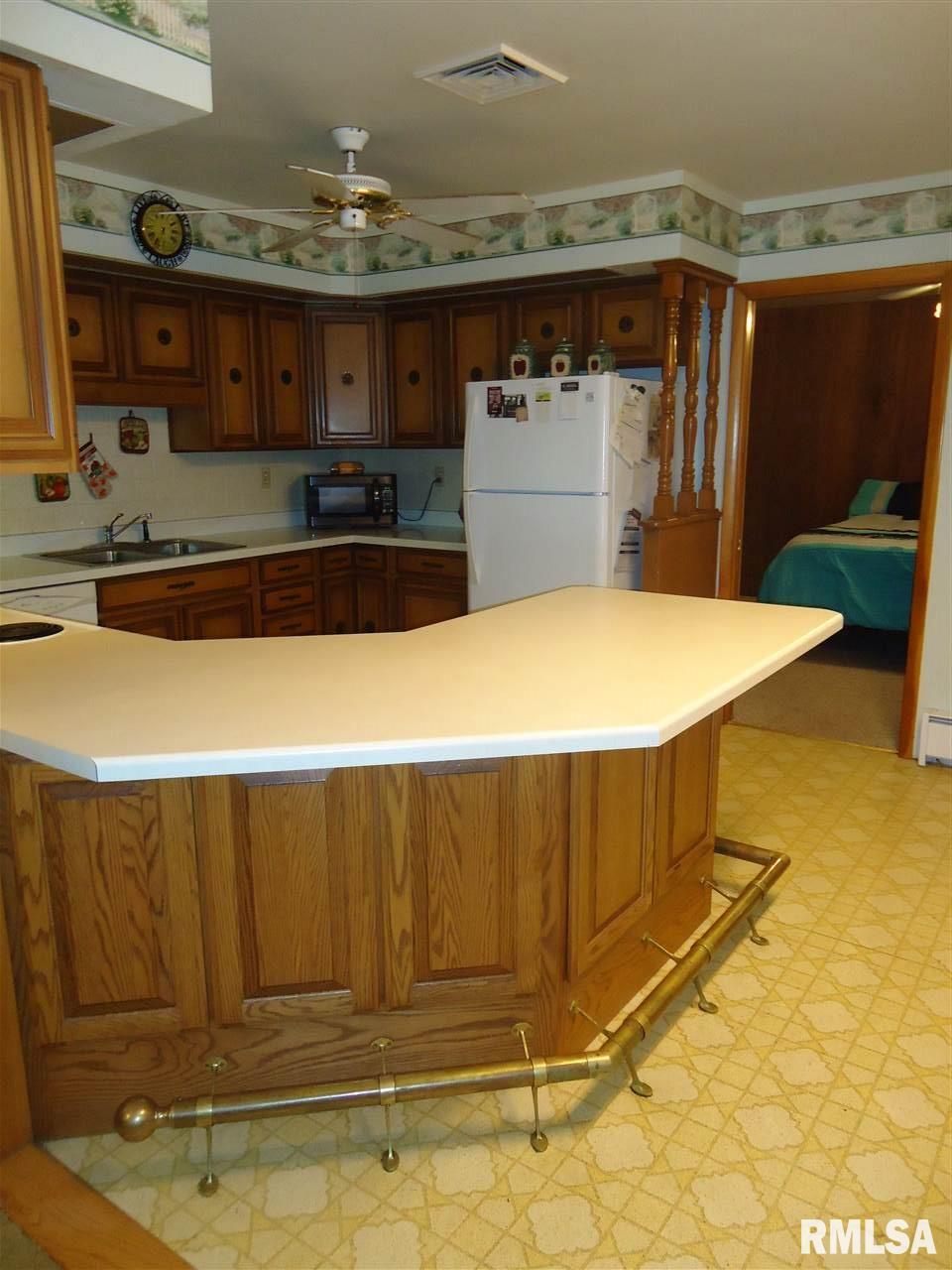 232 East Springfield Street Virginia, IL 62691 - Photo 6 of 32