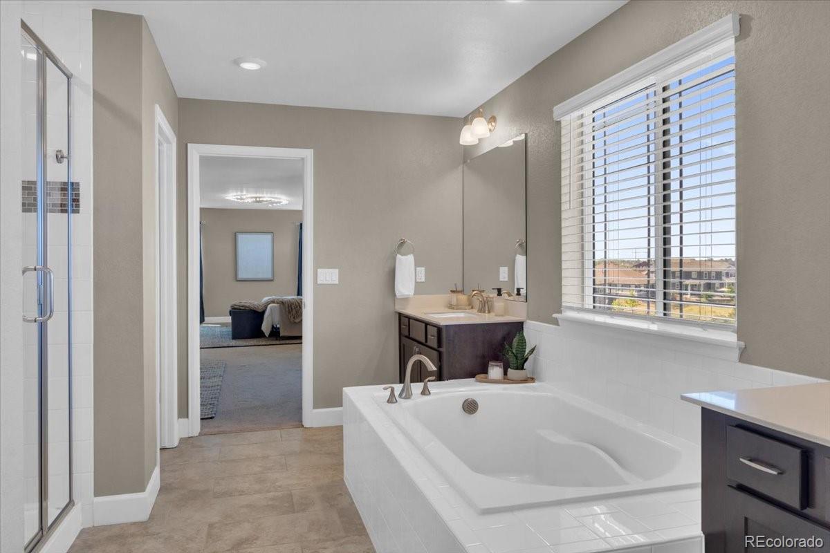 1721 Wingfeather Lane Castle Rock, CO 80108 - Photo 30 of 49 a bathroom with a tub a sink and a large mirror