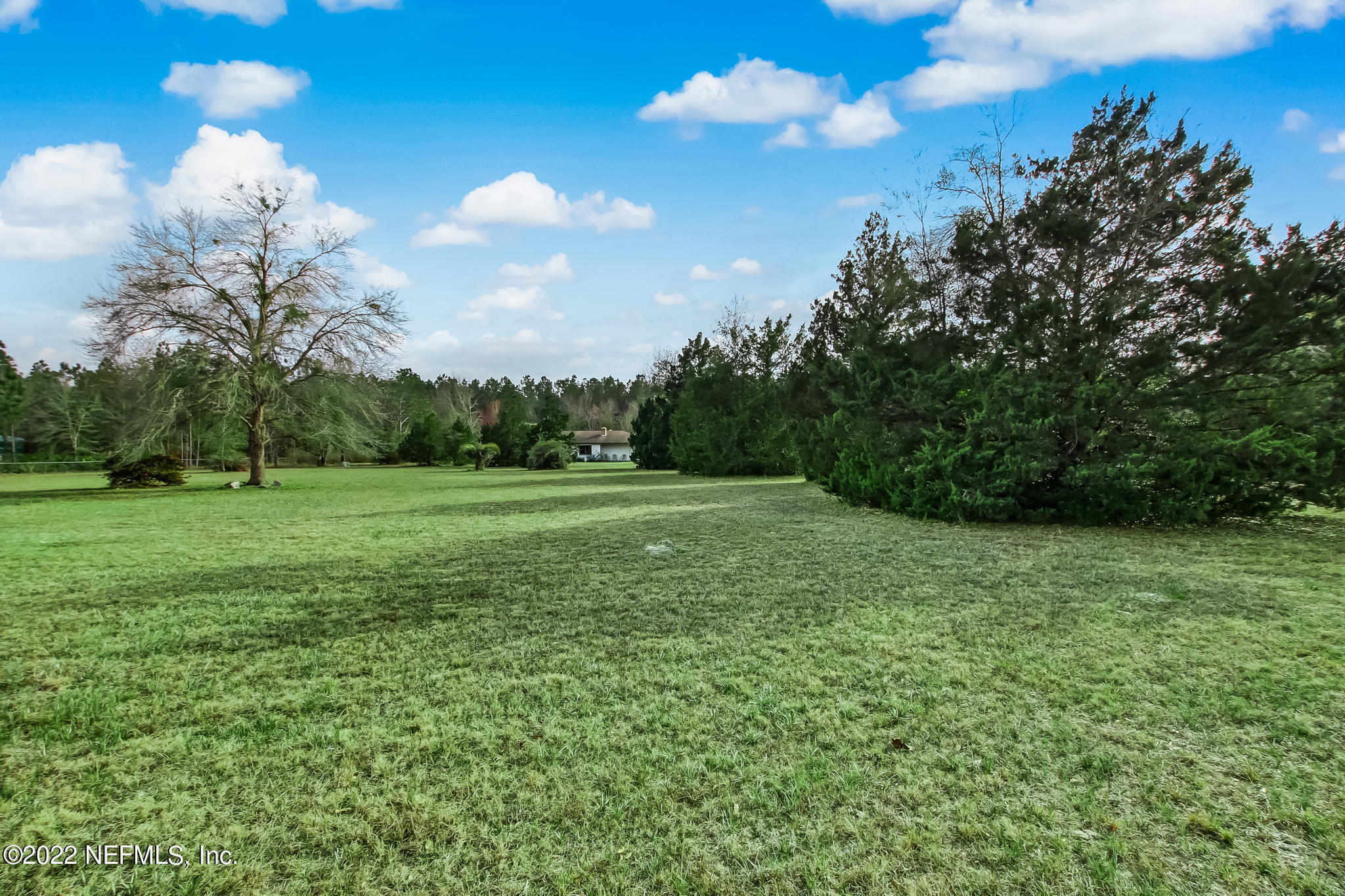 5665 Maverick Road Middleburg, FL 32068 - Photo 33 of 46 Front Yard