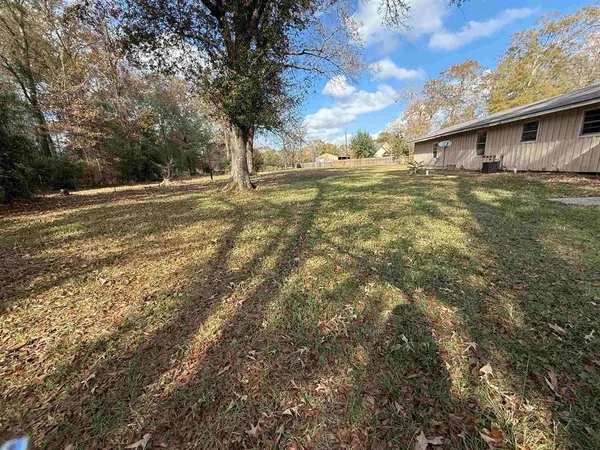 a view of a backyard with large trees and wooden fence