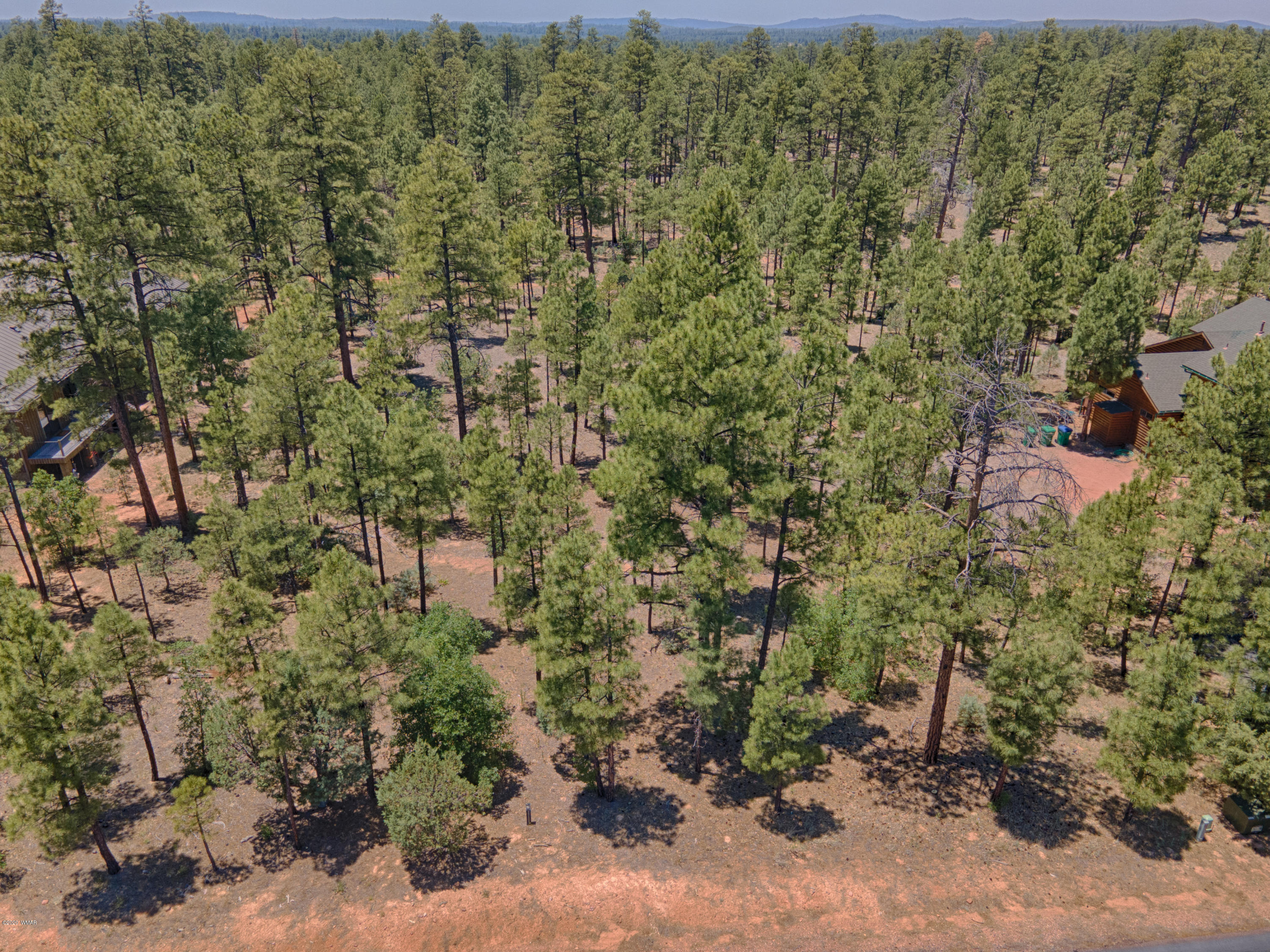 200 South Silktassel Road Show Low, AZ 85901 - Photo 2 of 6