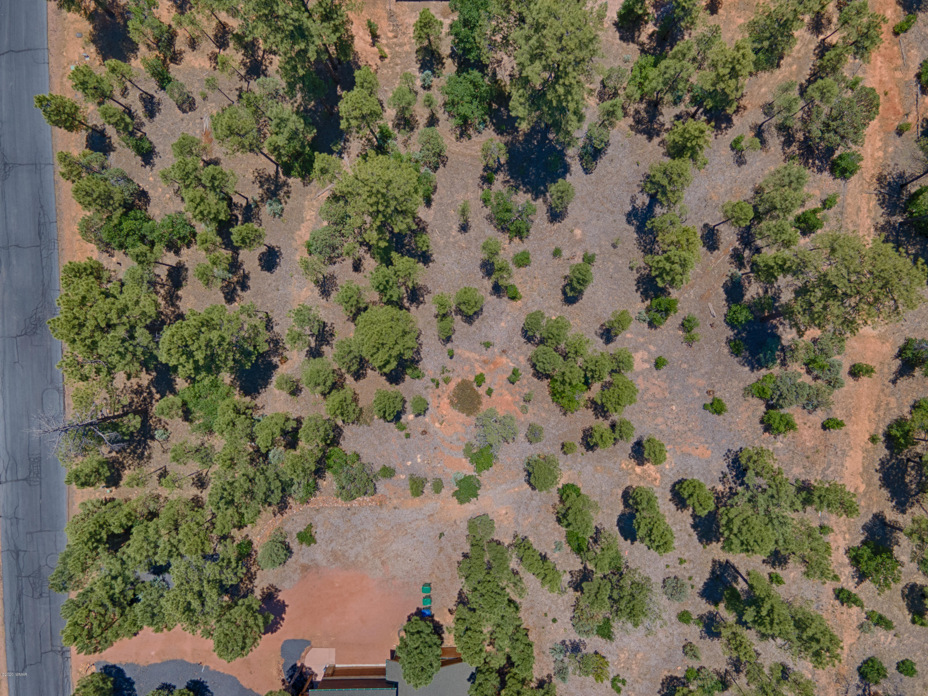 200 South Silktassel Road Show Low, AZ 85901 - Photo 4 of 6