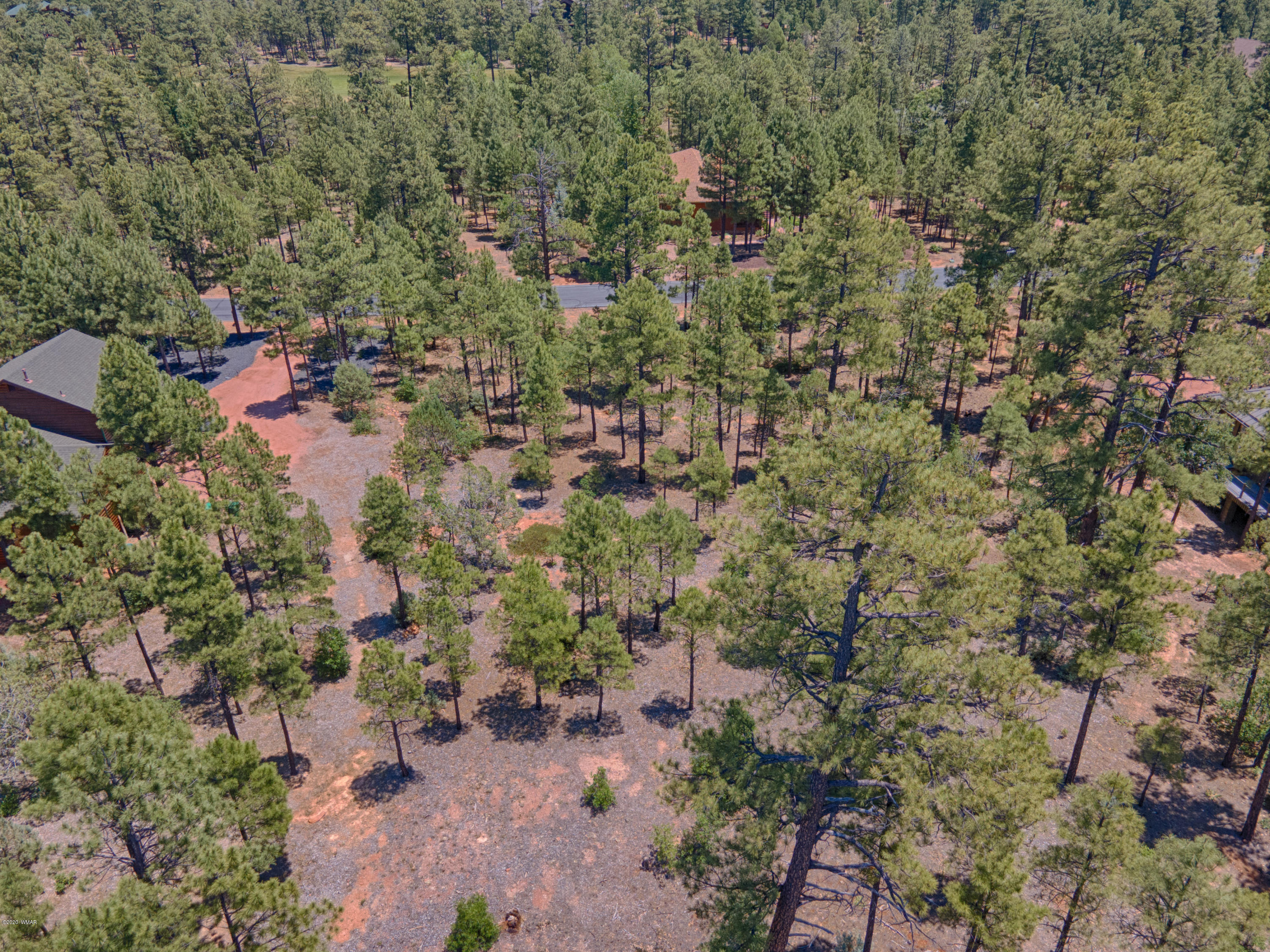 200 South Silktassel Road Show Low, AZ 85901 - Photo 6 of 6