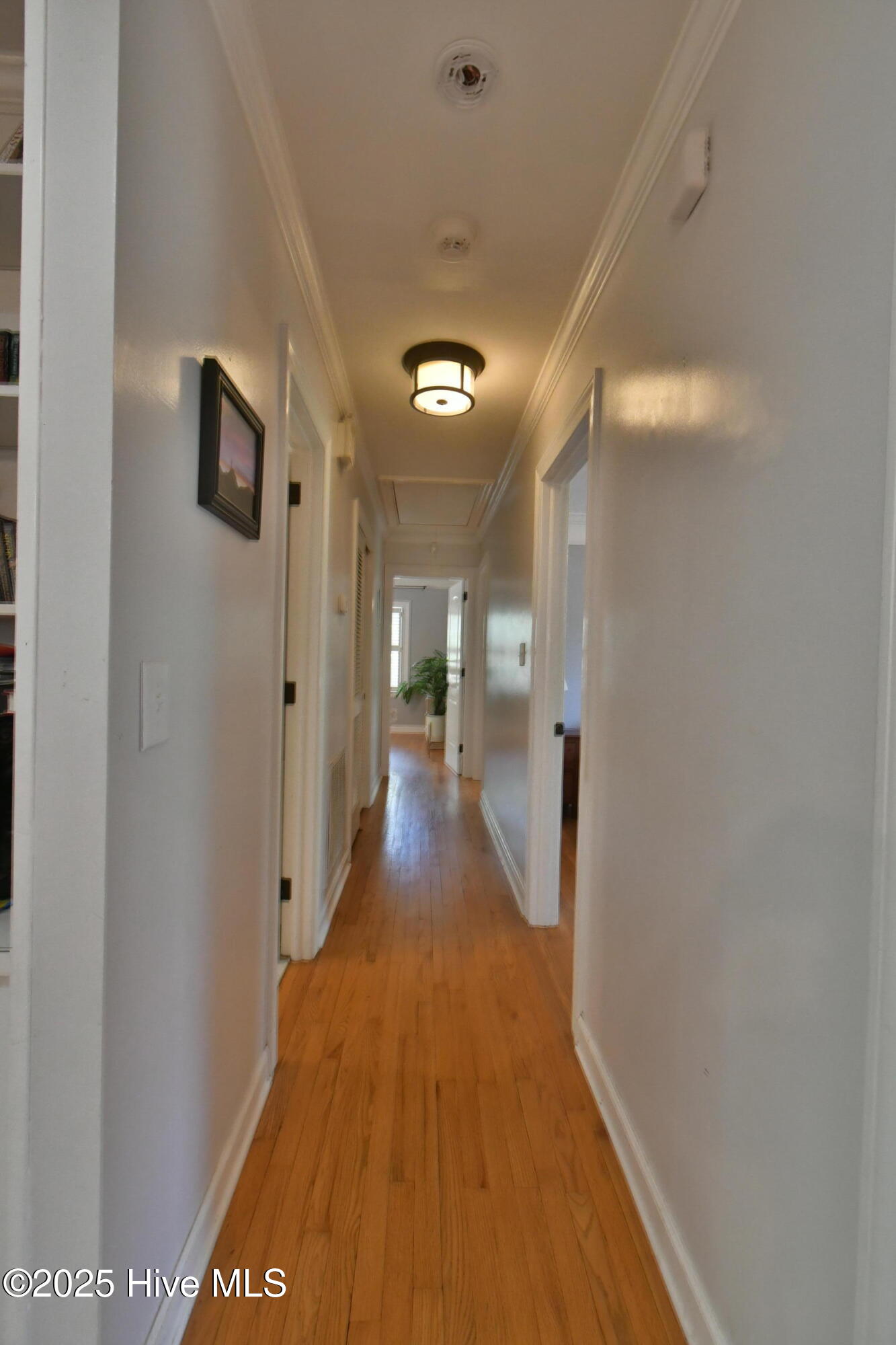 114 Lansdowne Road Wilmington, NC 28409 - Photo 29 of 57 DSC_6895
