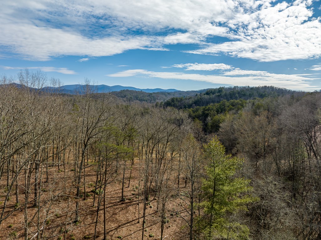 14 Bearden Farm Blue Ridge, GA 30513 - Photo 18 of 23 Gallery Image 18