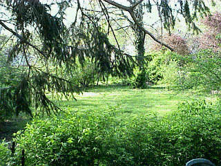 233 McDowell Road Lexington, KY 40502 - Photo 7 of 8 Photo 7