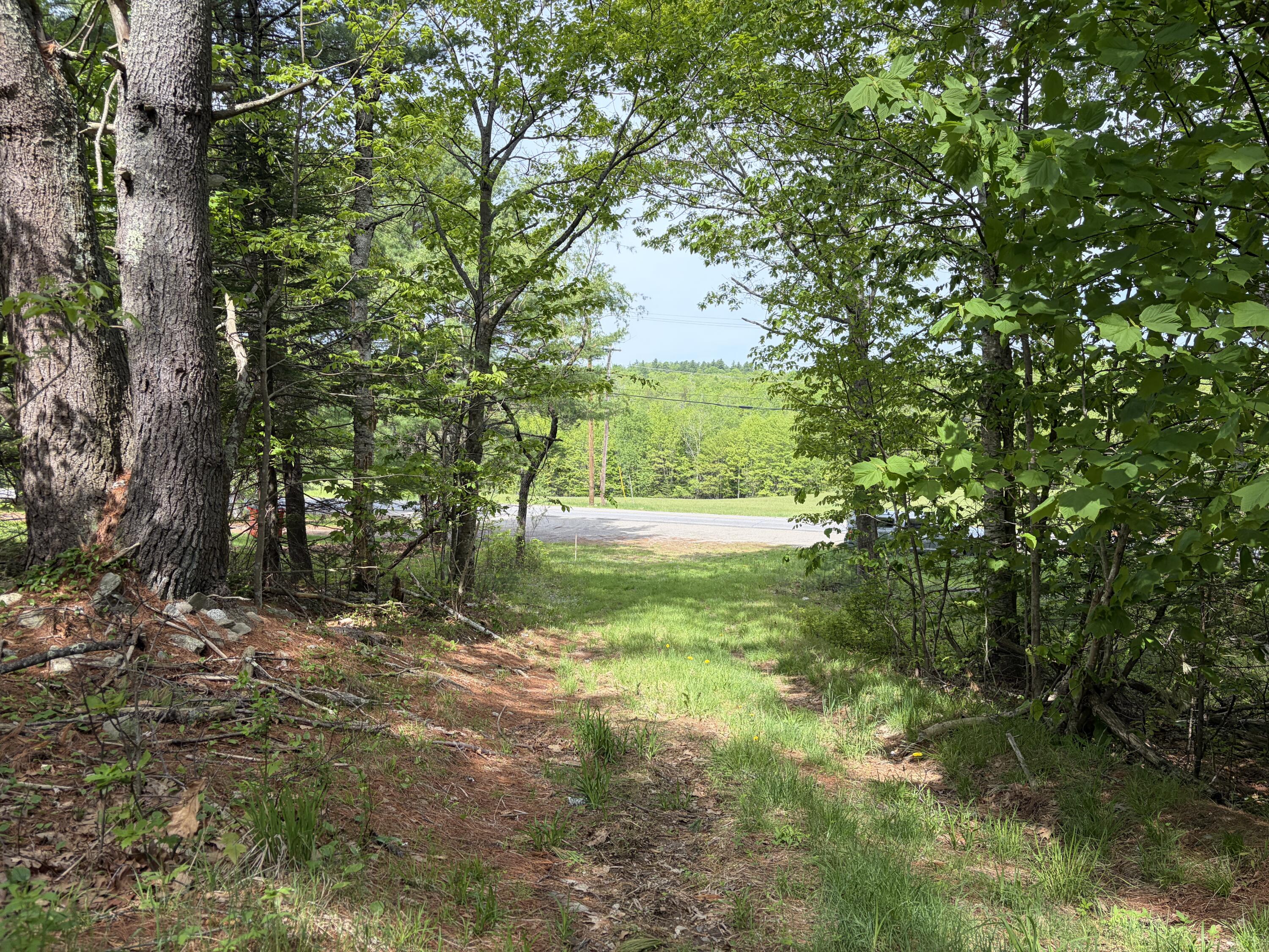 Lot 1 Waldoboro Road Washington, ME 04574 - Photo 2 of 39