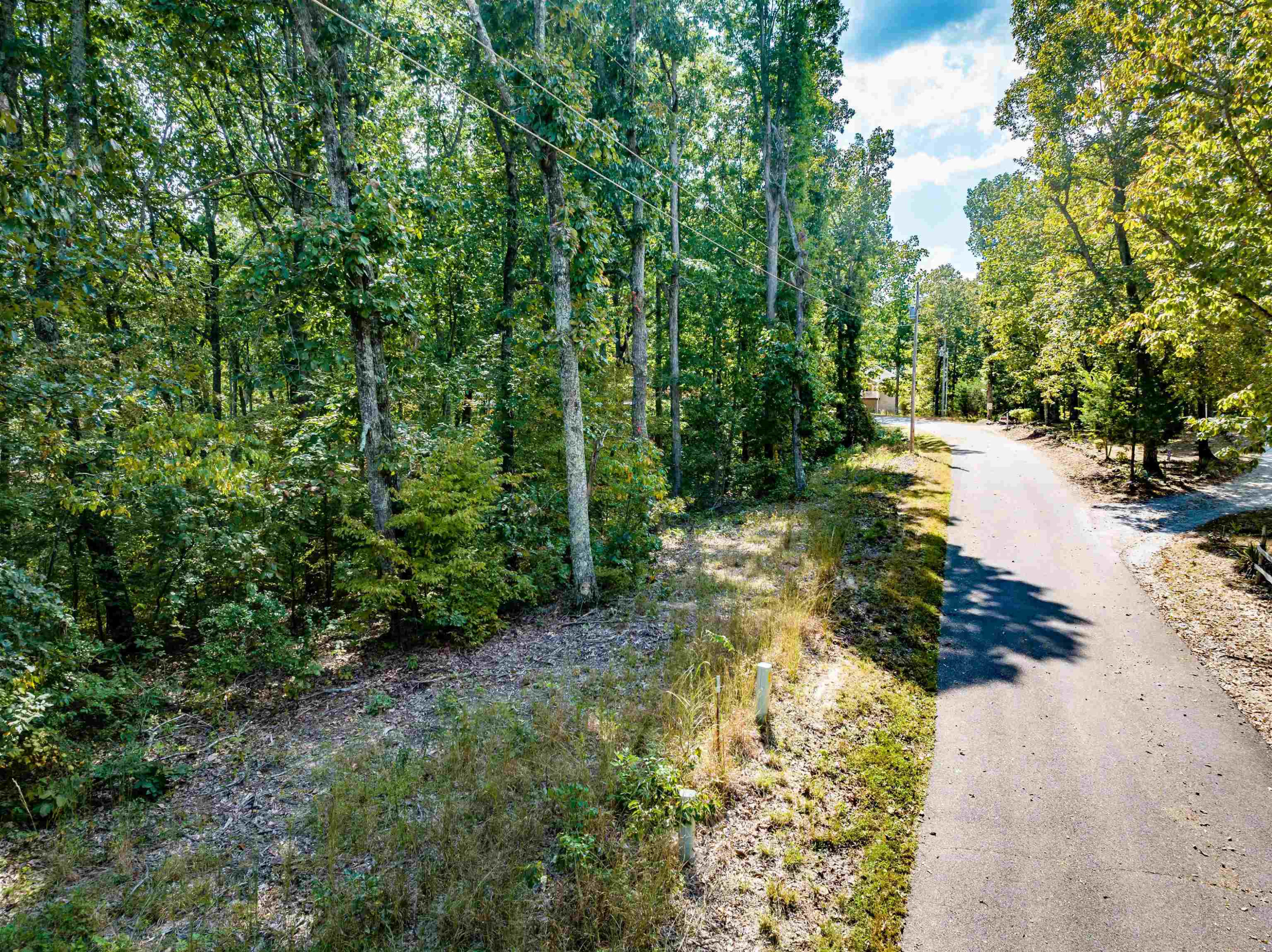 14-16 Ridgeway Drive Sugar Tree, TN 38380 - Photo 4 of 15 Photo 4