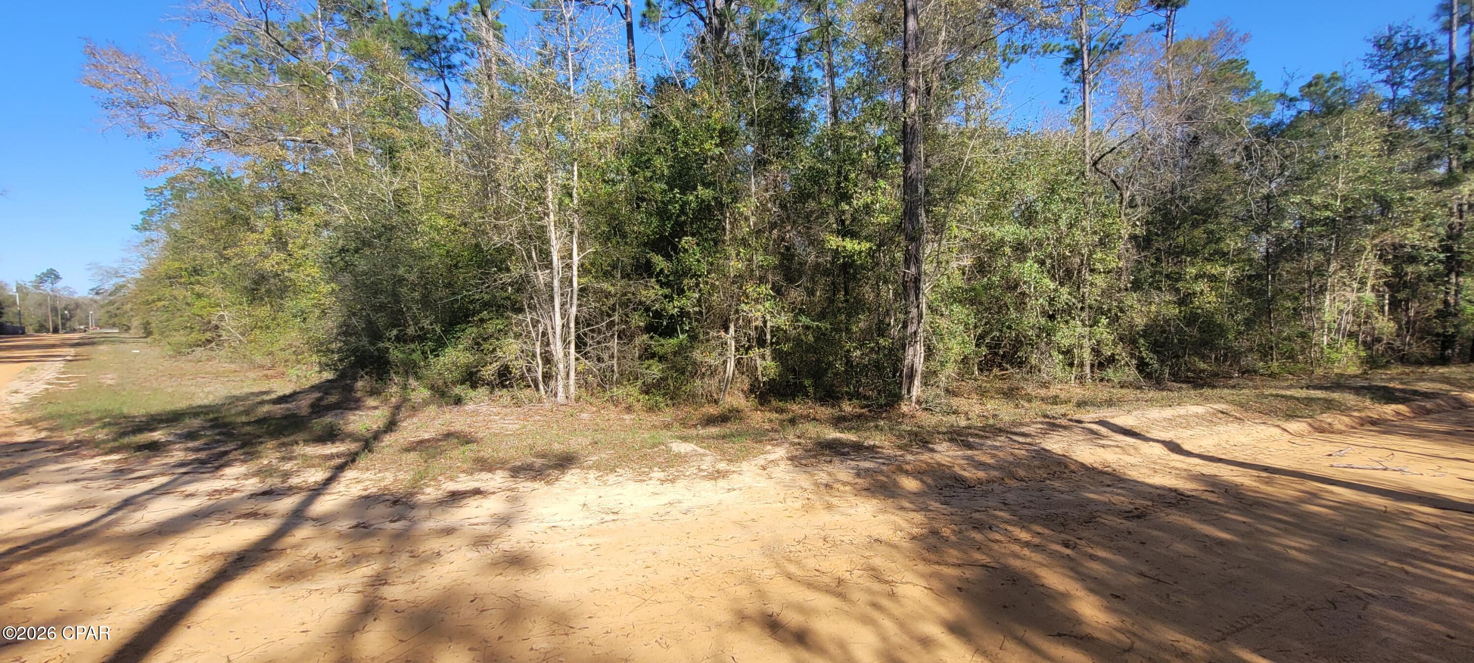 8 Dixie Avenue Fountain, FL 32438 - Photo 6 of 6