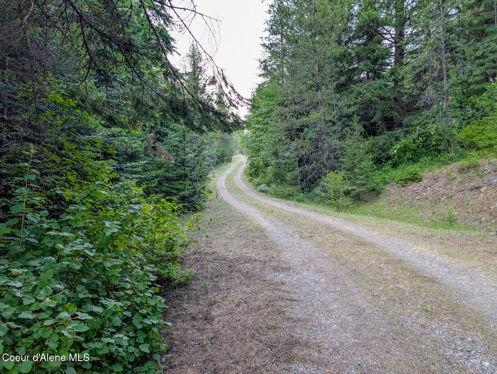699 Granite Ridge Road Priest River, ID 83856 - Photo 21 of 25 699 Granite Ridge-21