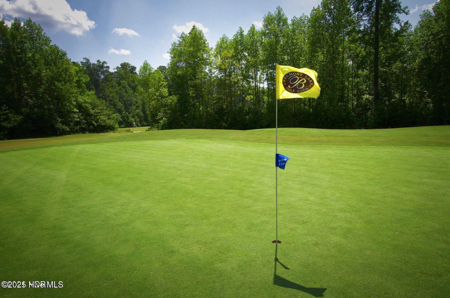 193 Tralee Rocky Mount, NC 27804 - Photo 2 of 26 18-hole championship golf course