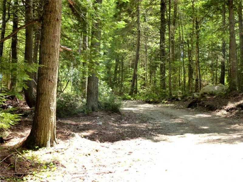 128 Beaver Road Sullivan, ME 04664 - Photo 12 of 14 Land.