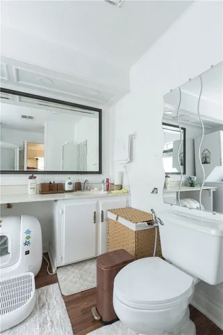 a bathroom with a toilet a sink and a mirror