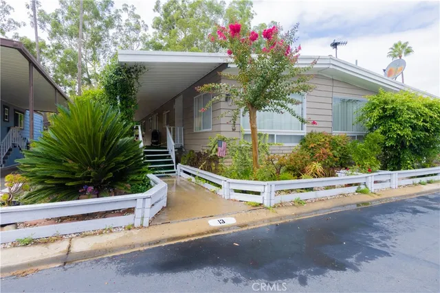 a potted plant sitting in front of a house
