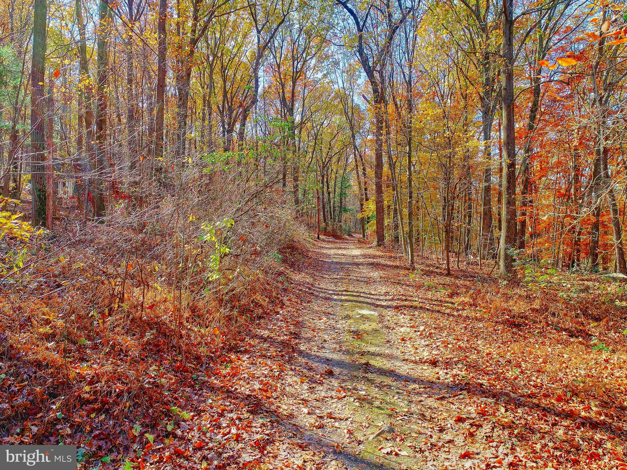 Lot 10 Ridge Road Aspers, PA 17304 - Photo 6 of 10