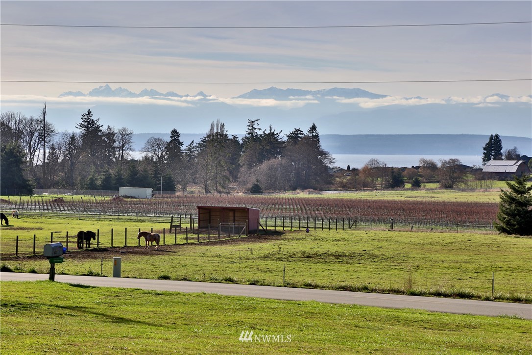 5621 Cameron Road Freeland, WA 98249 - Photo 8 of 25 a view of a swimming pool with an ocean view