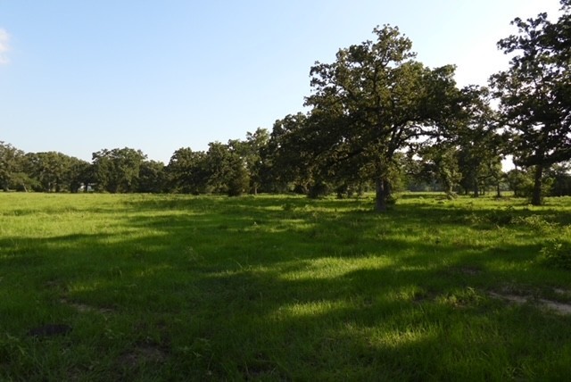 28322 Mellman Road Hempstead, TX 77445 - Photo 43 of 50