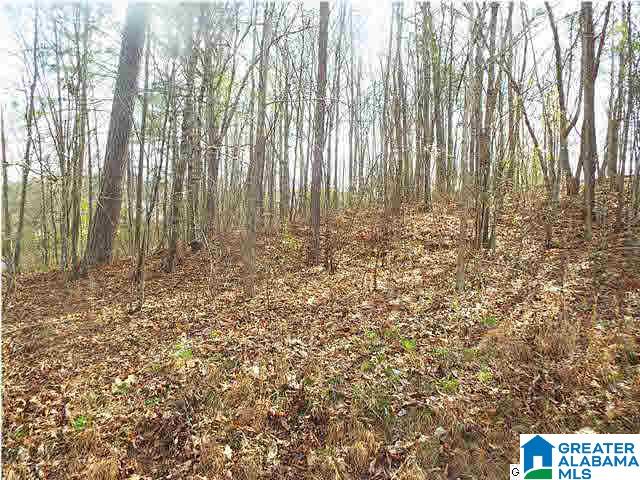 1 Ransome Drive, Unit 1 Oneonta, AL 35121 - Photo 3 of 6