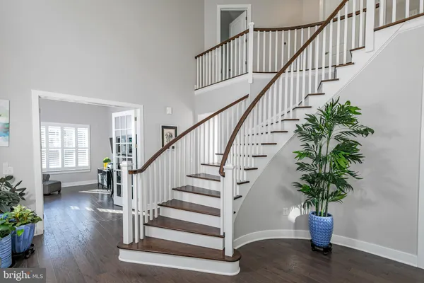 a view of staircase with wooden floor and a potted plant